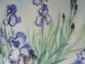 Risser-Viviane-Les iris bleus.jpg